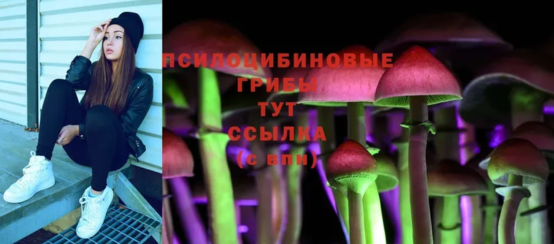 Галлюциногенные грибы MAGIC MUSHROOMS  OMG вход  Костомукша 